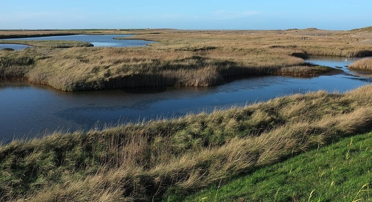 Cley Marshes RSPB Coastal Walk