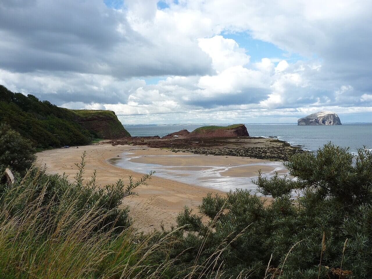 Seacliff Beach