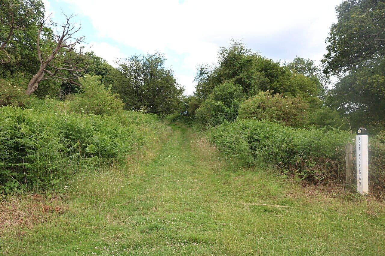 Panshanger Park and River Mimram Walk