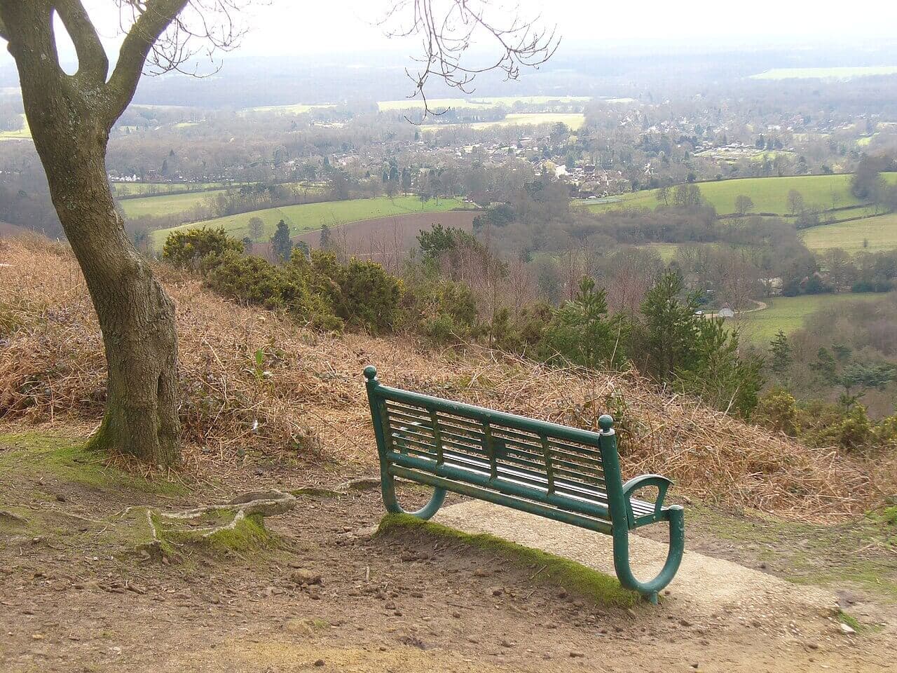 Pitch Hill and Ewhurst Circular Walk