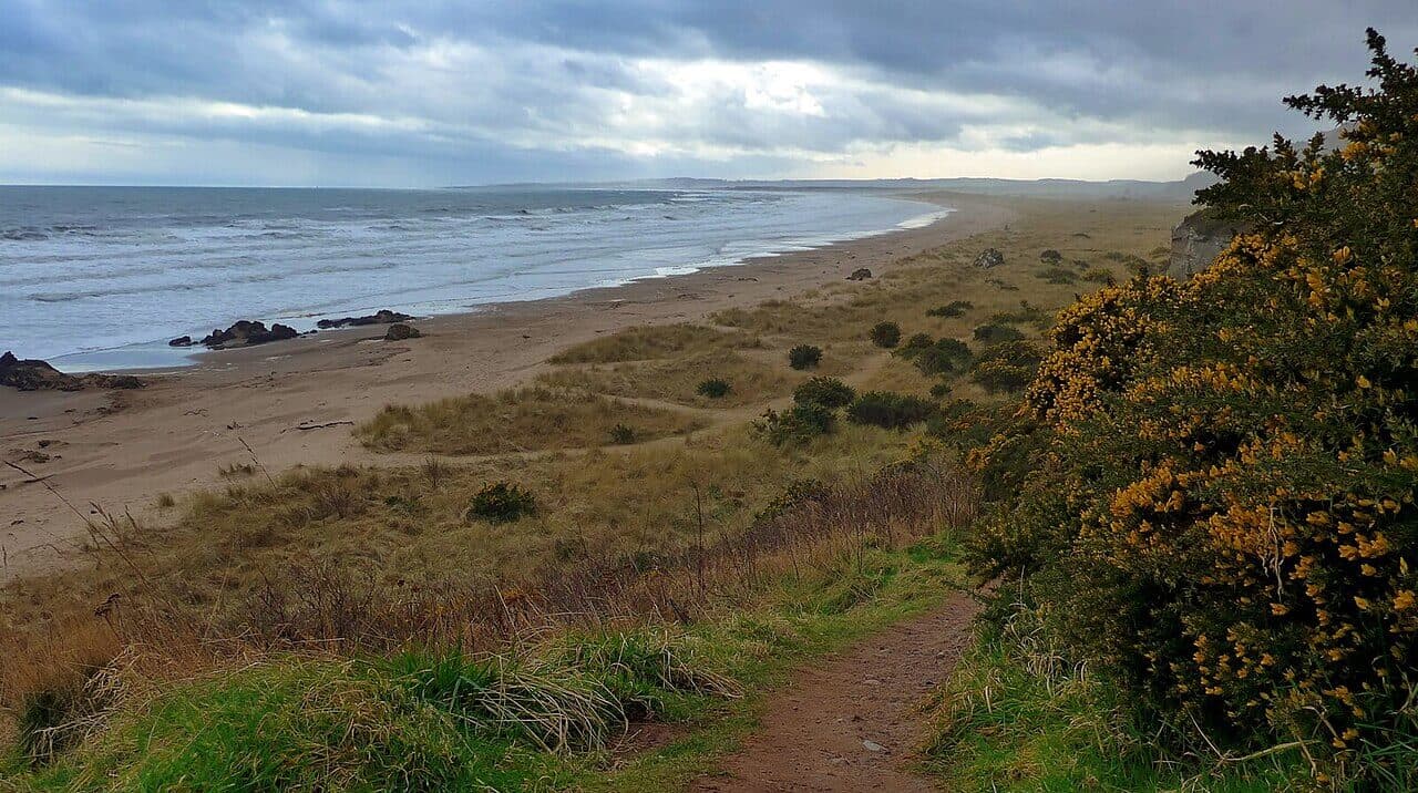St Cyrus Beach