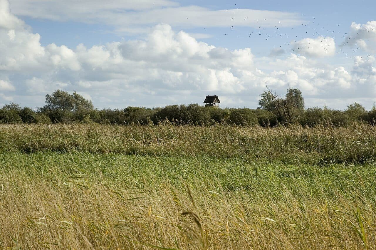 Wicken Fen Extended Circular Walk