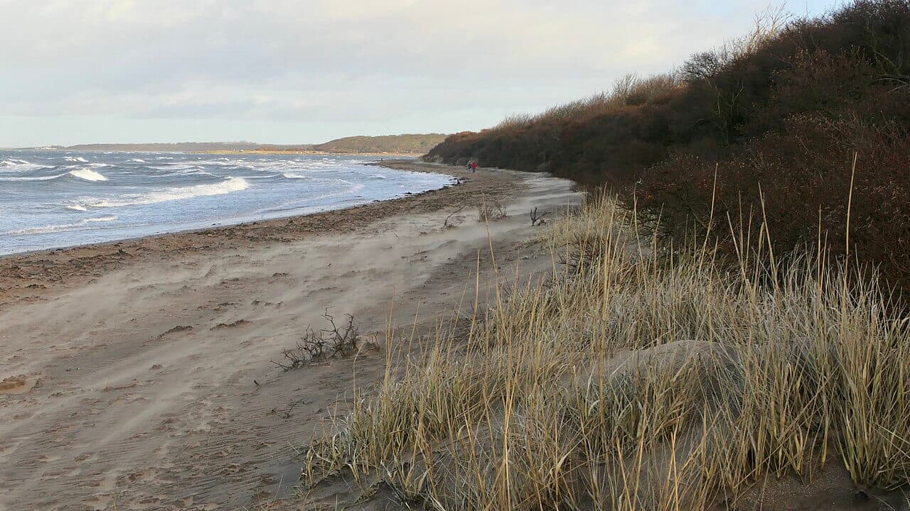 Longniddry Bents