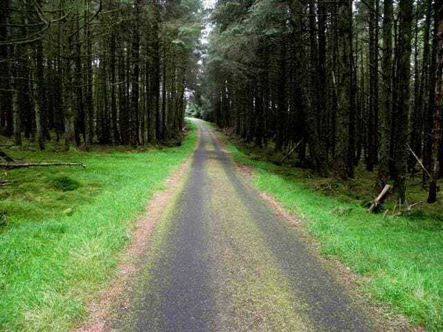 Davagh Forest Dark Skies Extended Loop