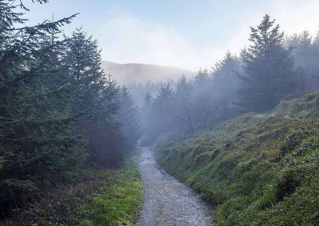 Kilbroney Forest Park Circular, Rostrevor