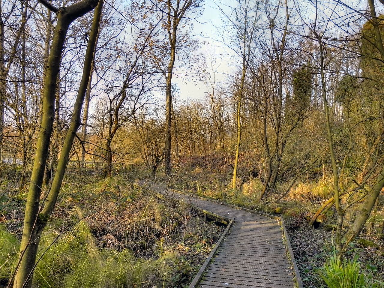 Moses Gate Country Park Circular, Farnworth