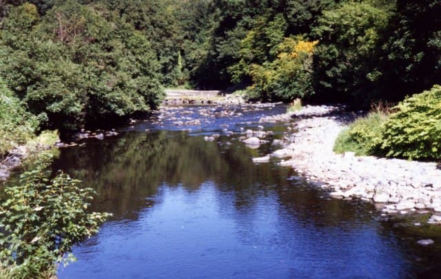 Roe Valley Country Park Circular
