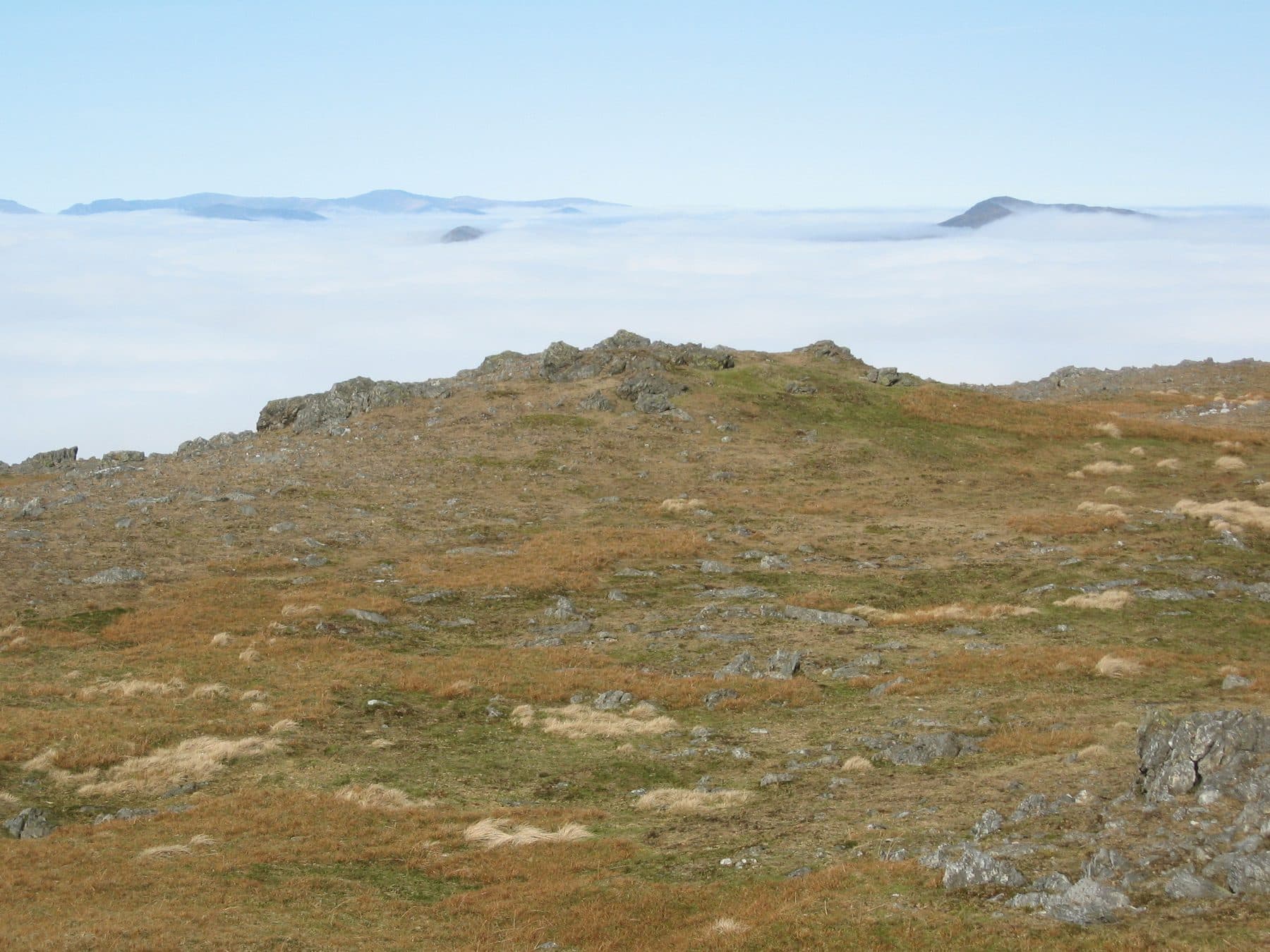 Bwlch y Groes and Aran Fawddwy Circular