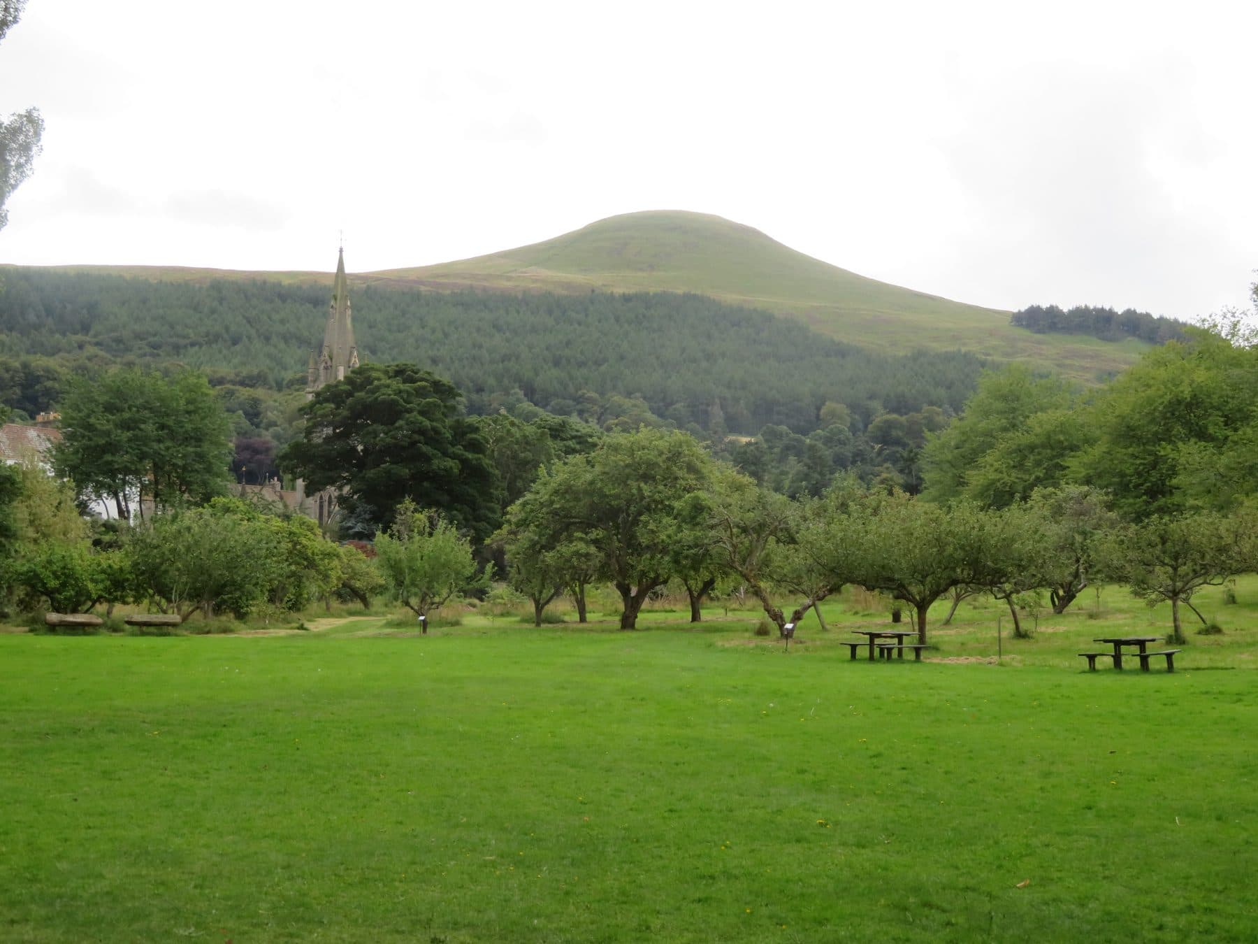 East Lomond and Falkland Hill Circular