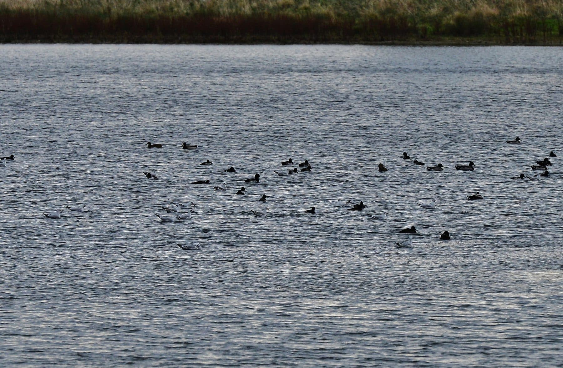 Fosse Way and Eye Brook Reservoir Circular