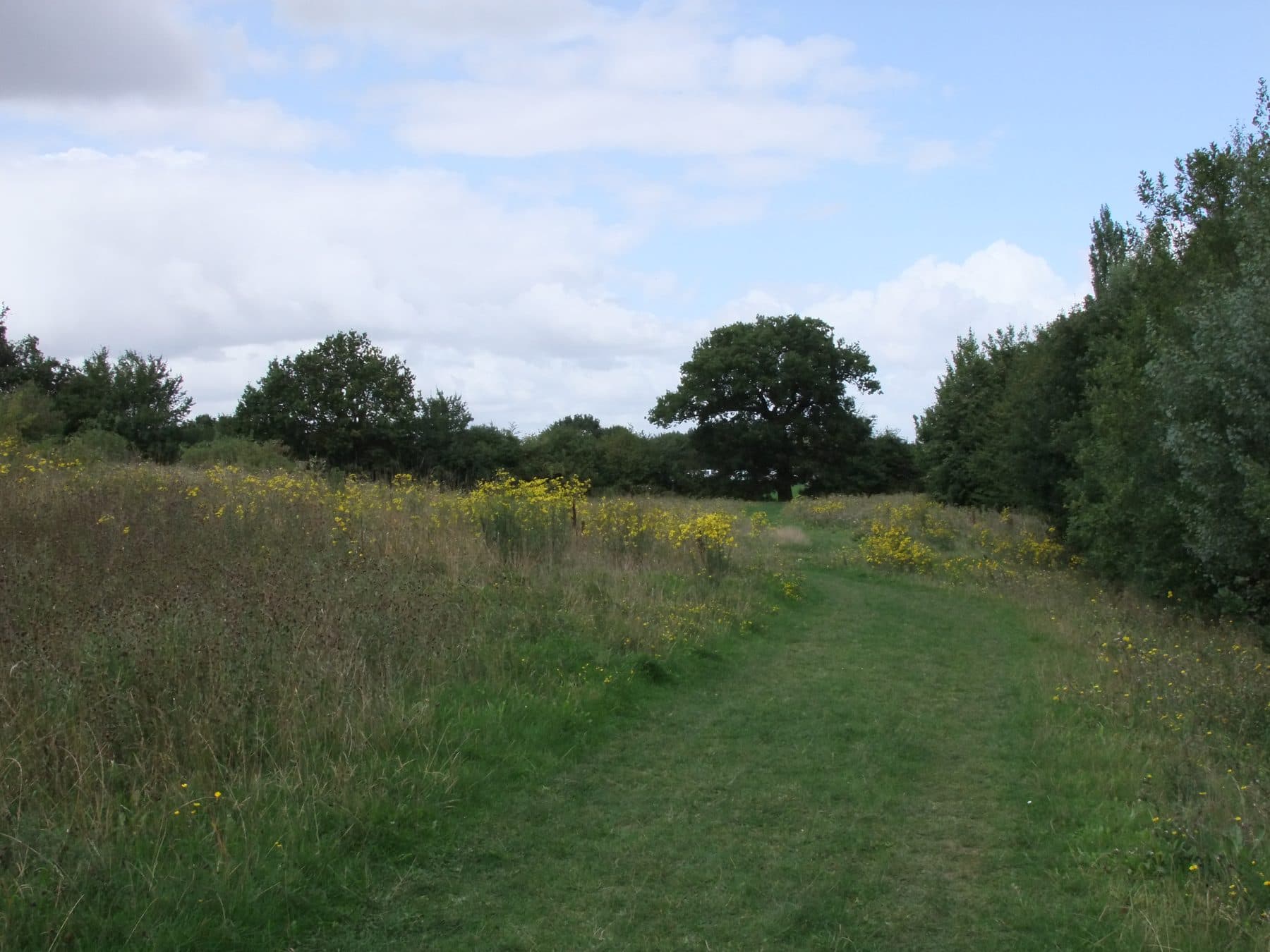 Great Notley Country Park Circular Walk