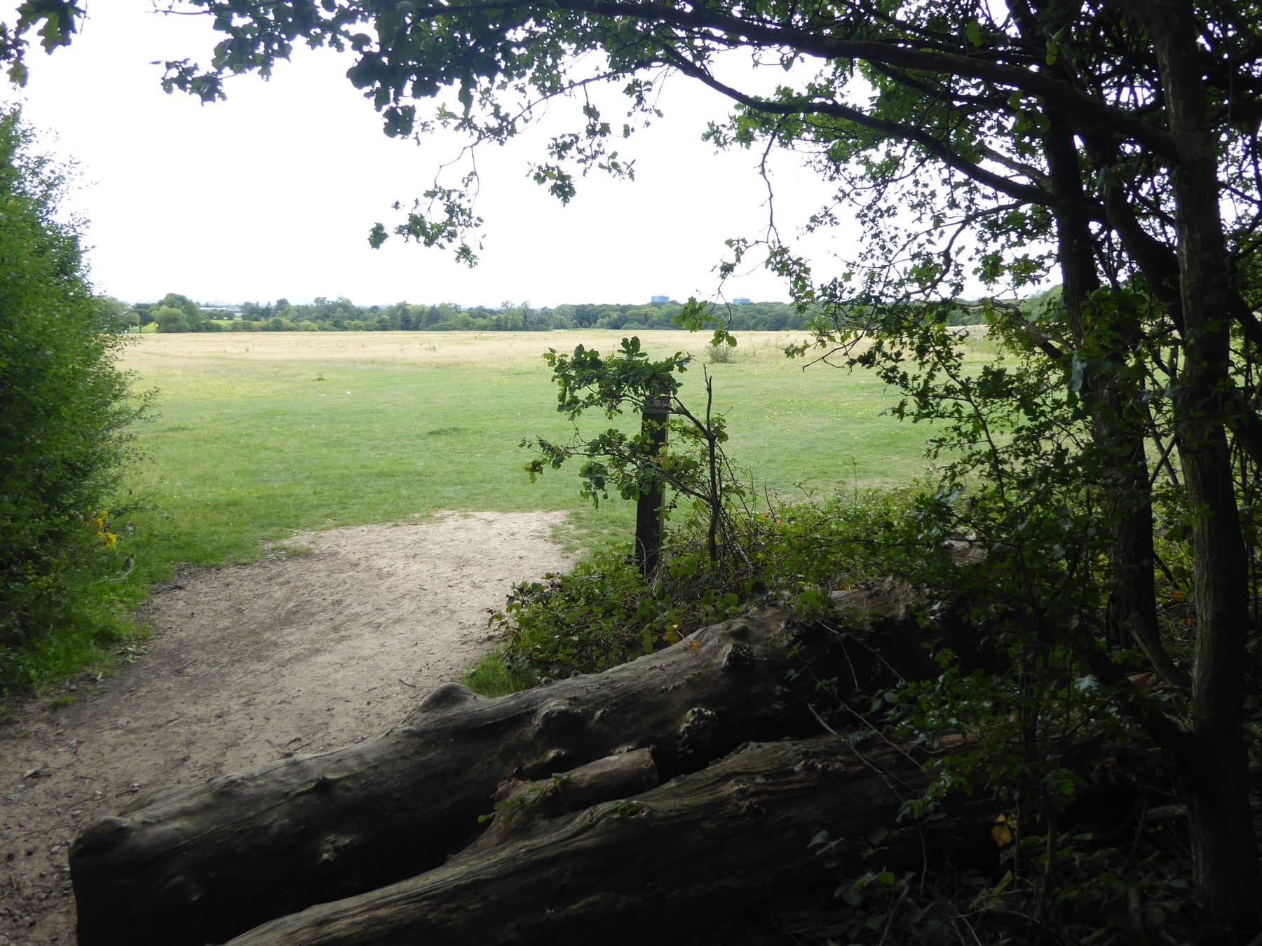 Hainault Forest Country Park Circular
