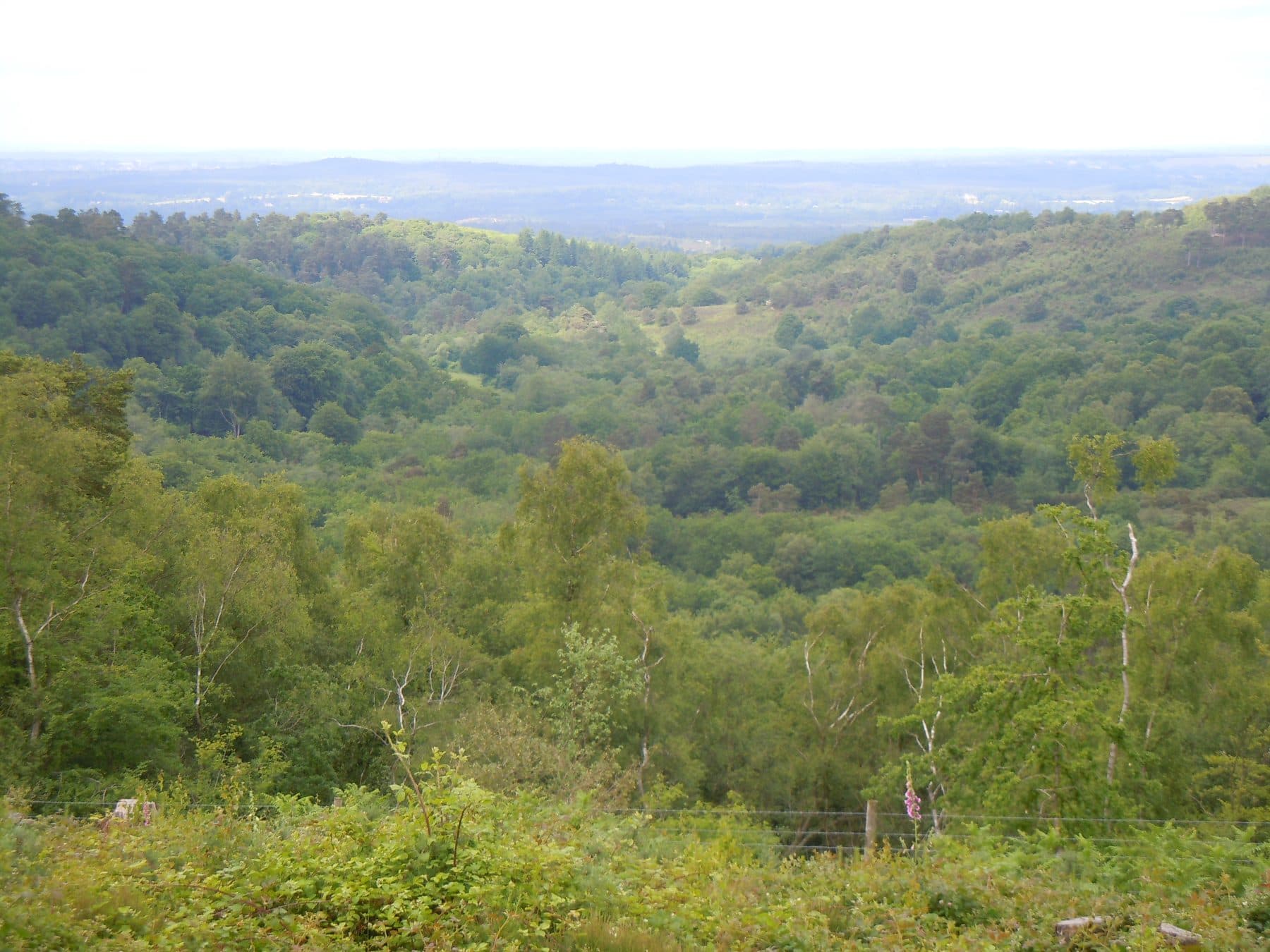 Hindhead Common and the Devil's Punch Bowl