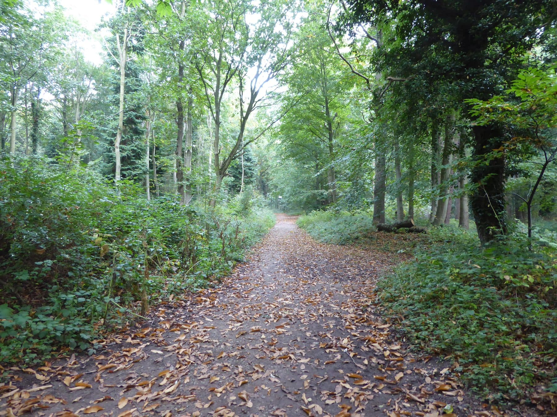 Holt Country Park Circular Walk