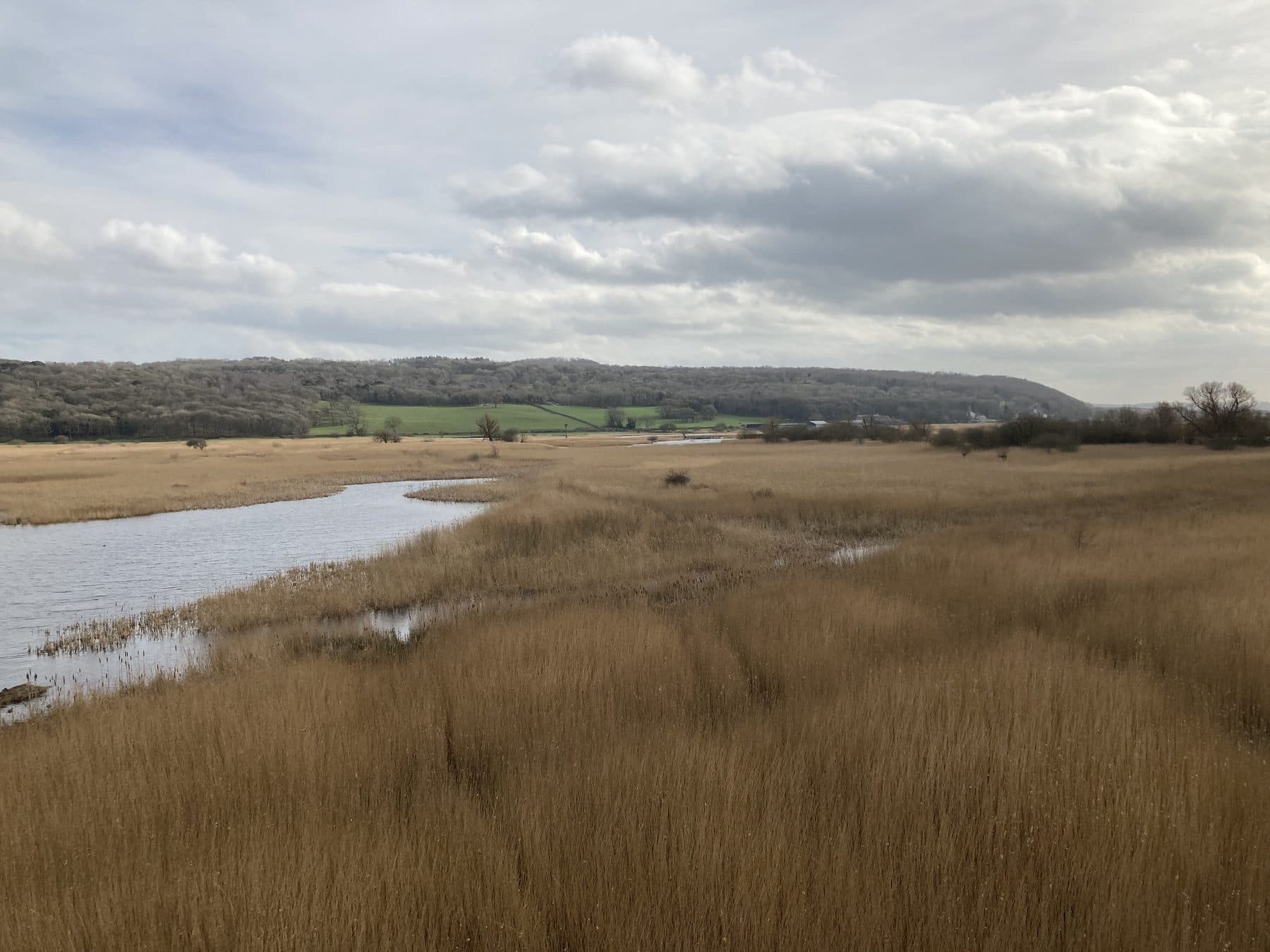 Leighton Moss RSPB Circular Walk