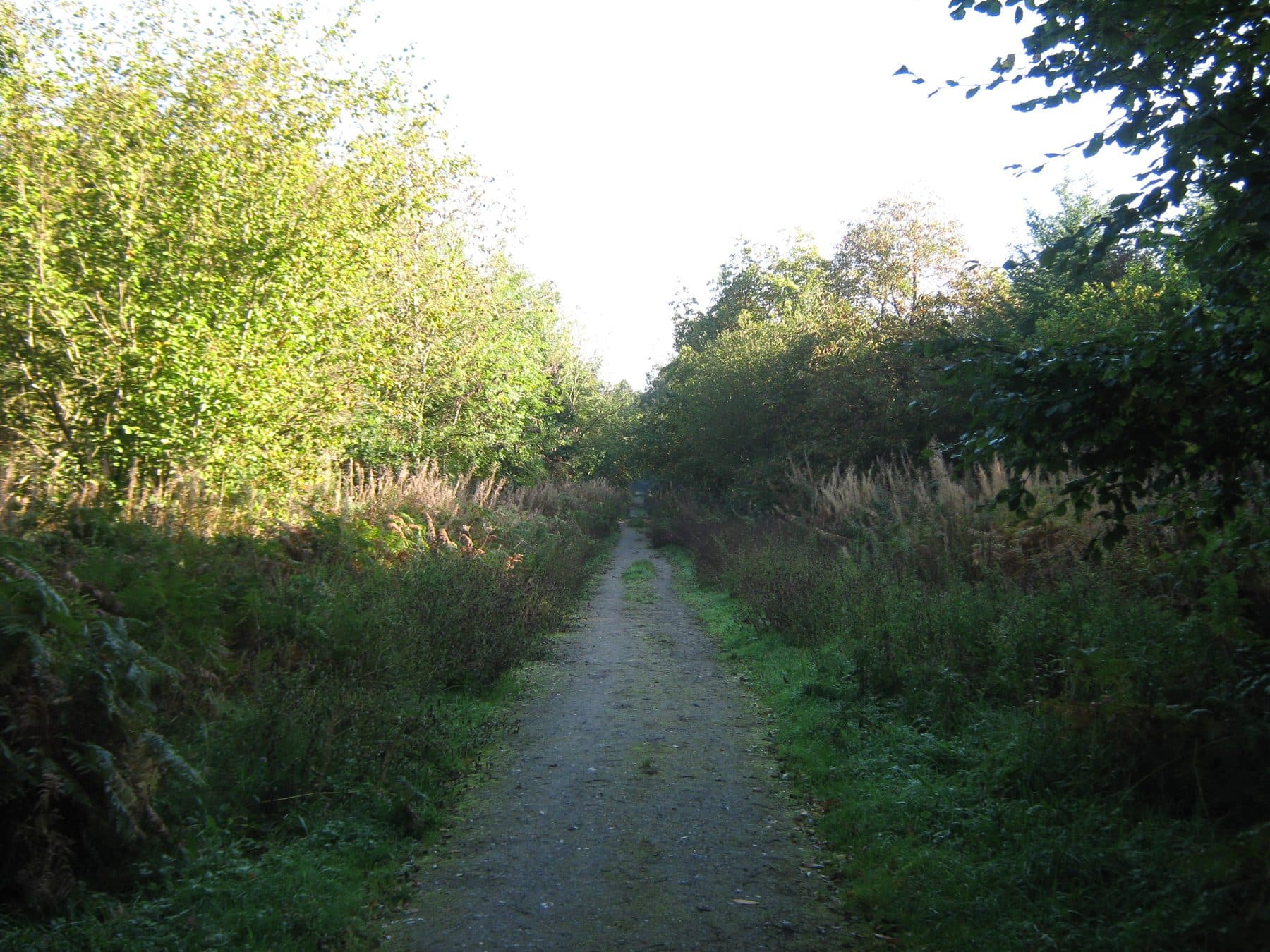 Lyminge Forest and Etchinghill Circular