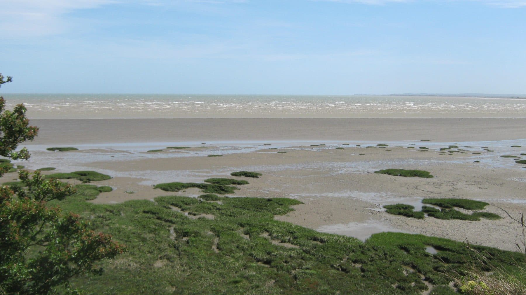Pegwell Bay Nature Reserve Circular Walk