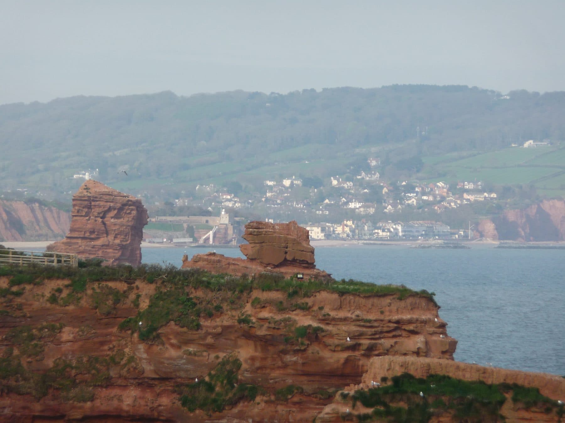 Sidmouth to Ladram Bay Coastal Walk