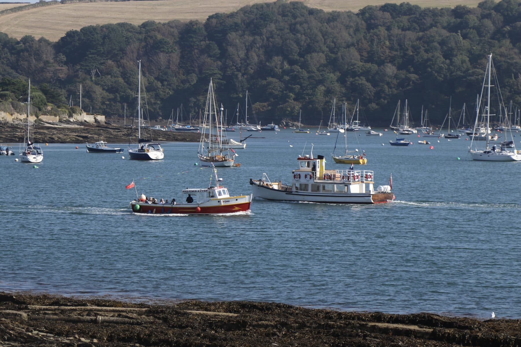 St Mawes and the Roseland Peninsula Walk
