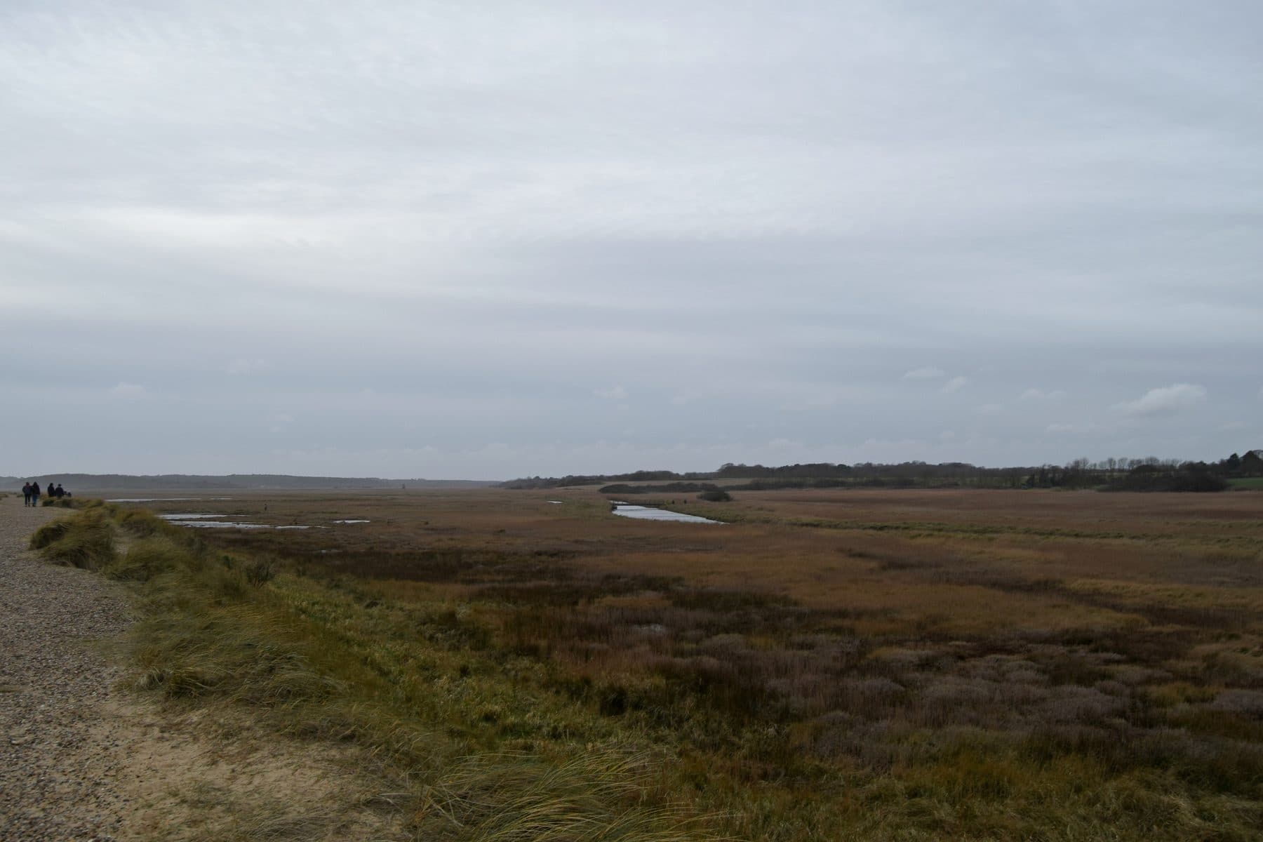 Walberswick Nature Reserve Circular Walk