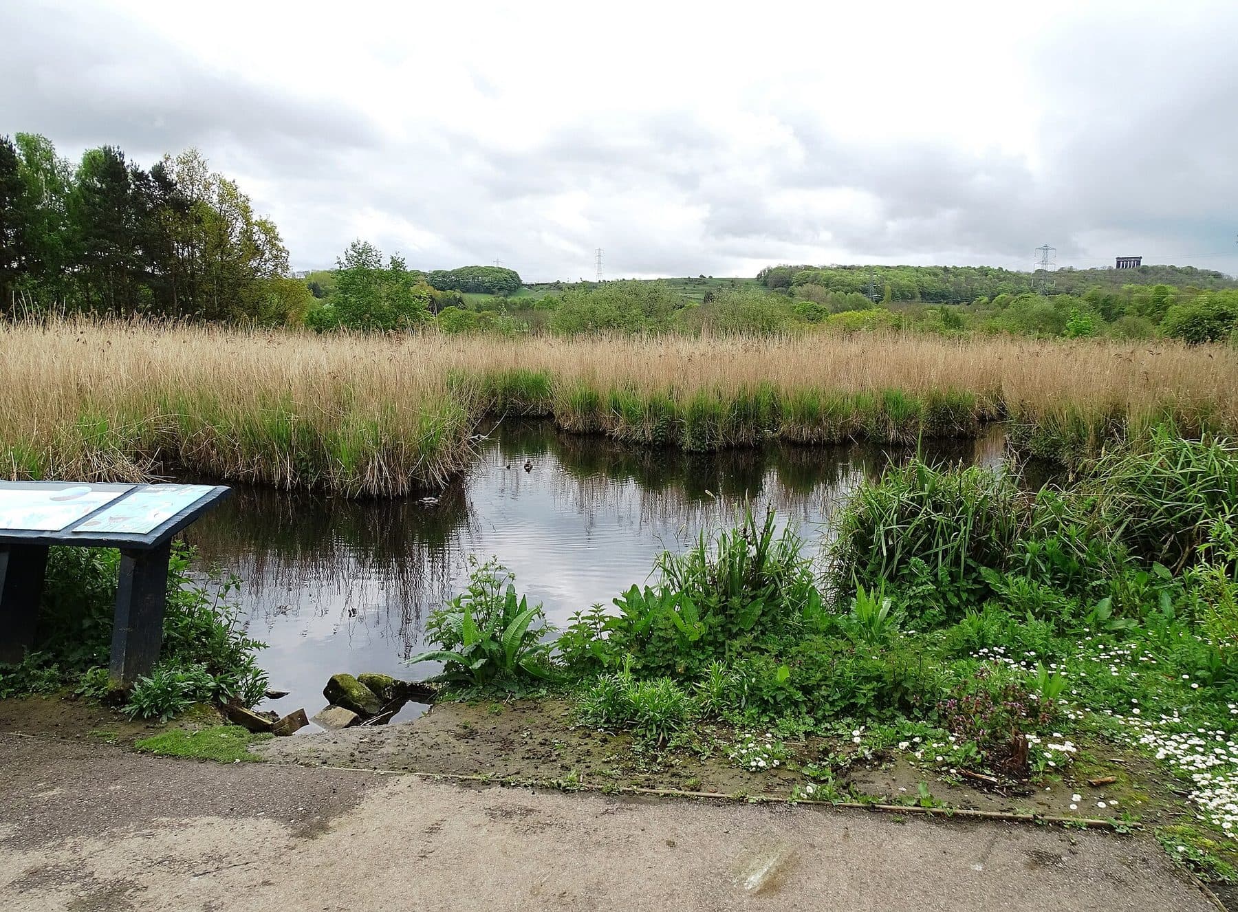 Washington Wetlands and River Wear Walk