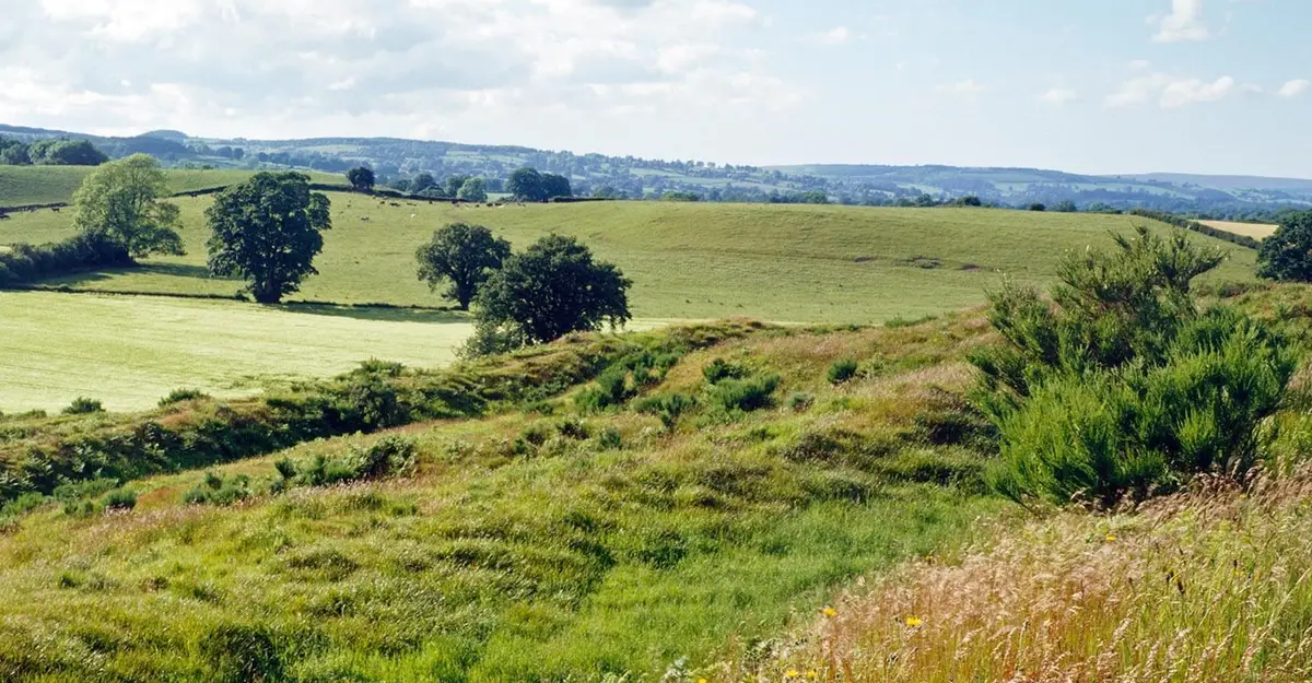 Old Oswestry Hillfort