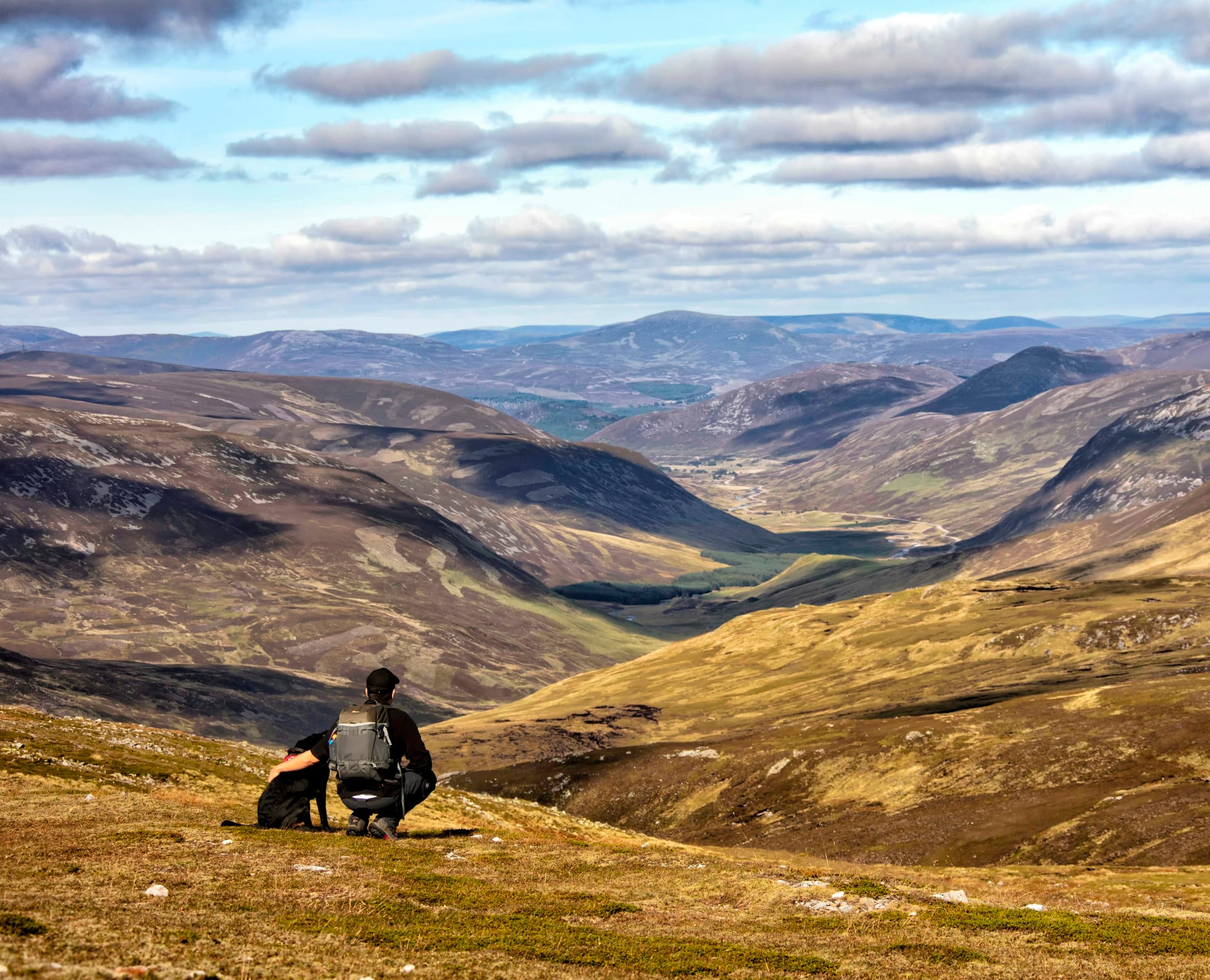 A walker and their dog looking over a Highland glen