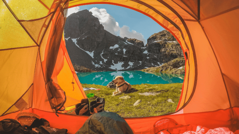 Dog relaxes outside of the tent whilst camping