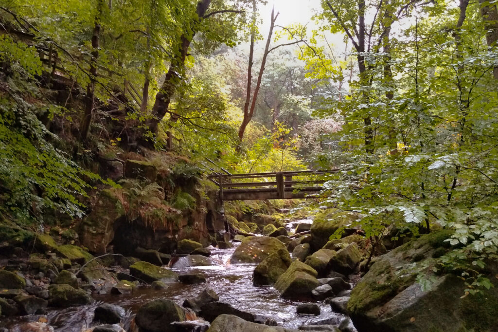 Padley Gorge, Peak District