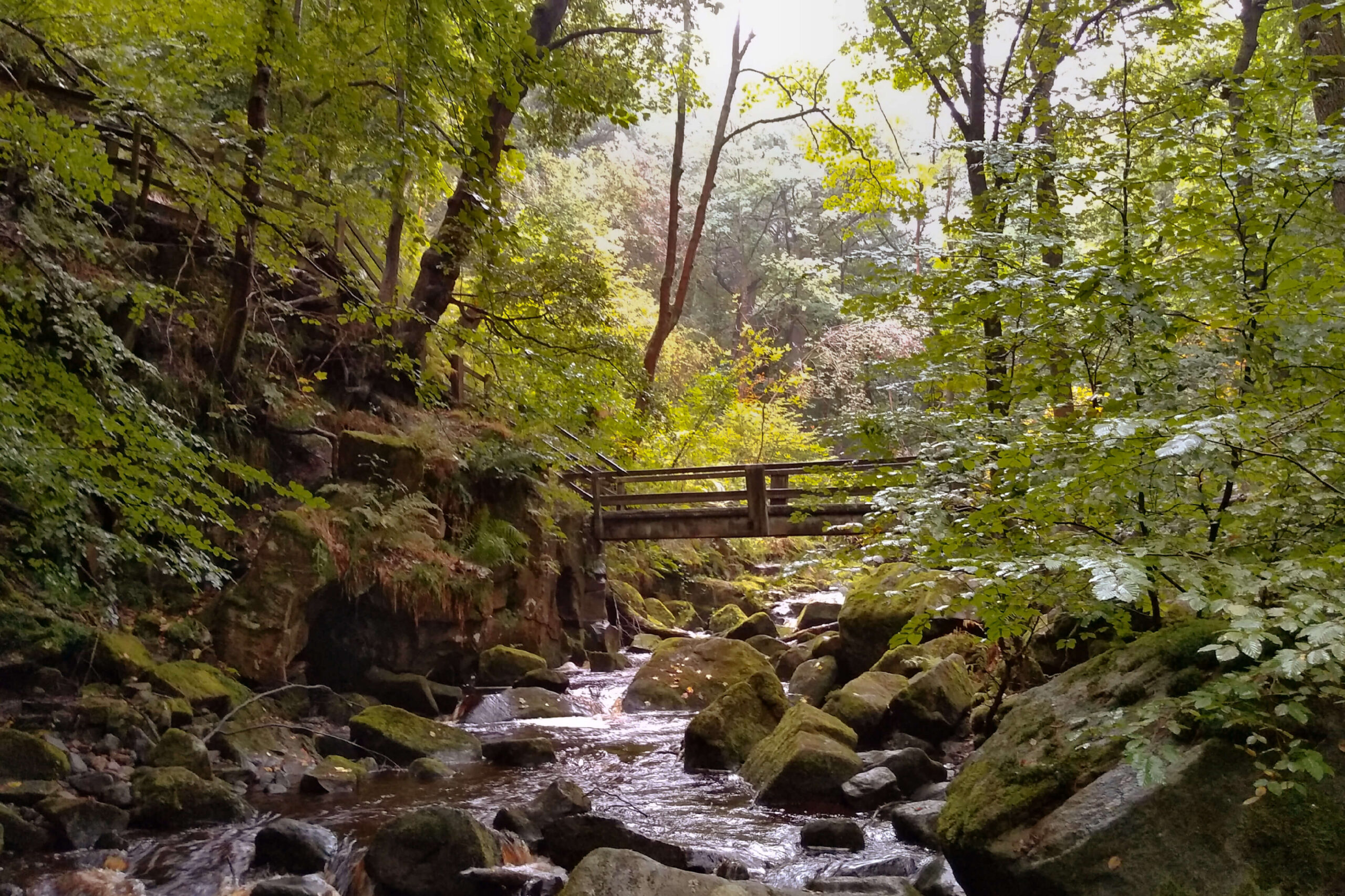 Padley Gorge and Longshaw Estate