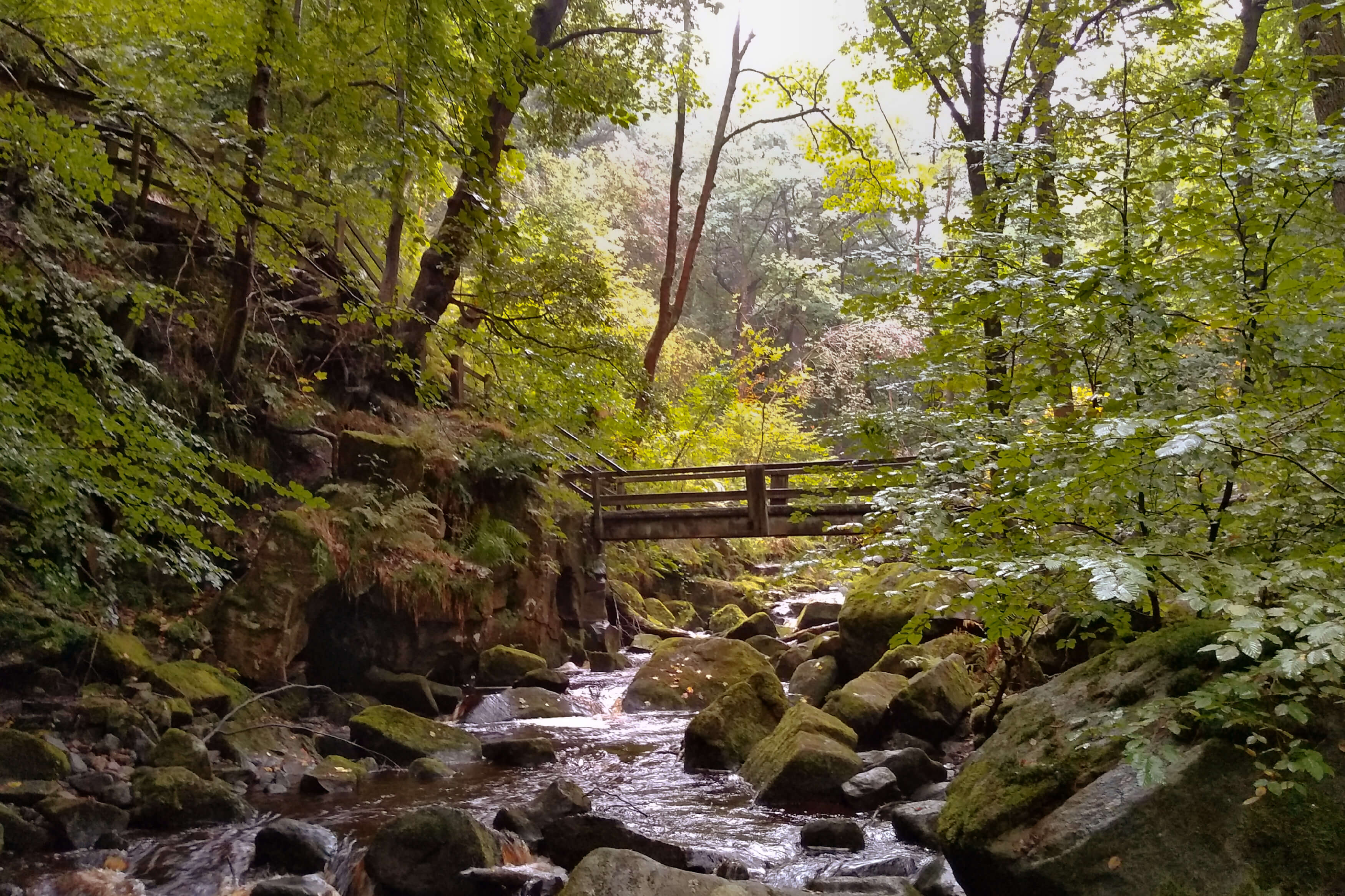 A bridge in Padley Gorge, on eof the Peak District's best dog friendly walking spots