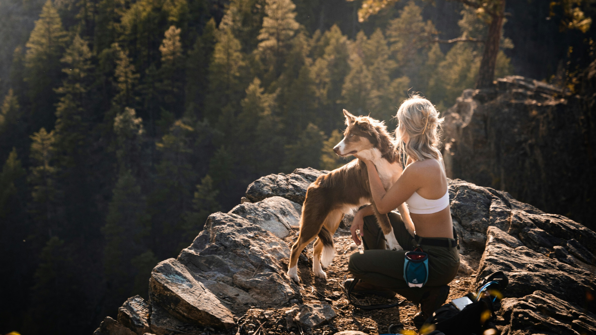collie and owner on a cliff during a hike