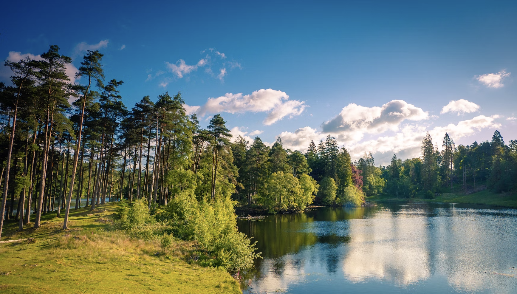 tarn hows, lake district 