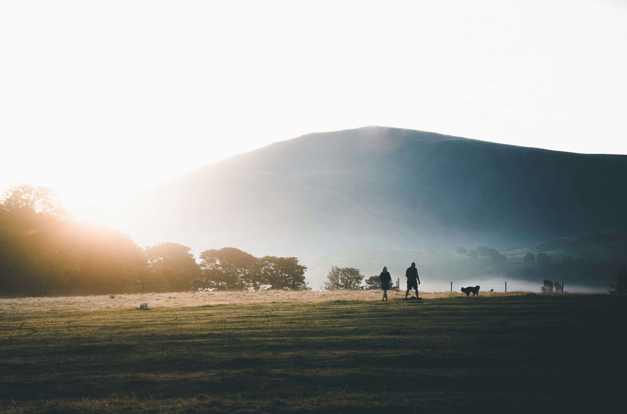 A couple walk their dog across a field at sunrise in the Lake District