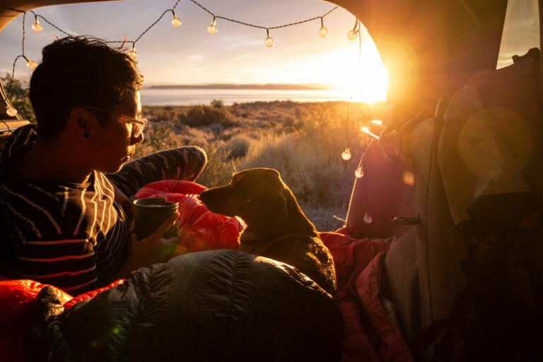 Man camps with his dog watching a sunset