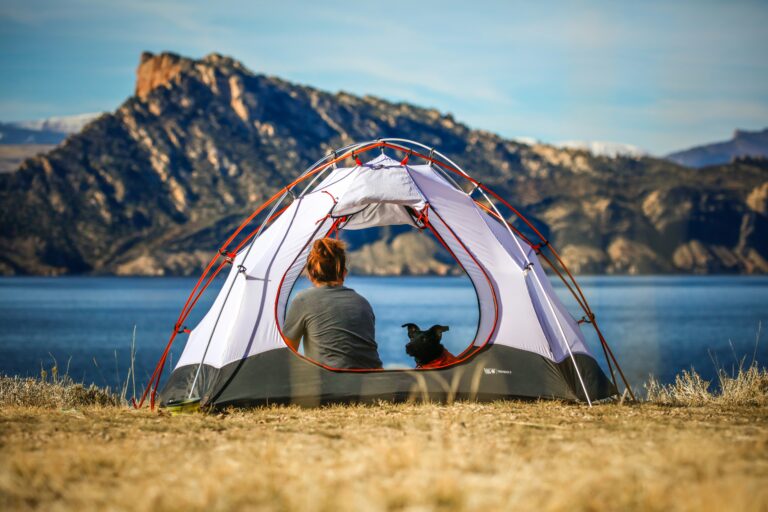 dog and owner camp out in front of a lake