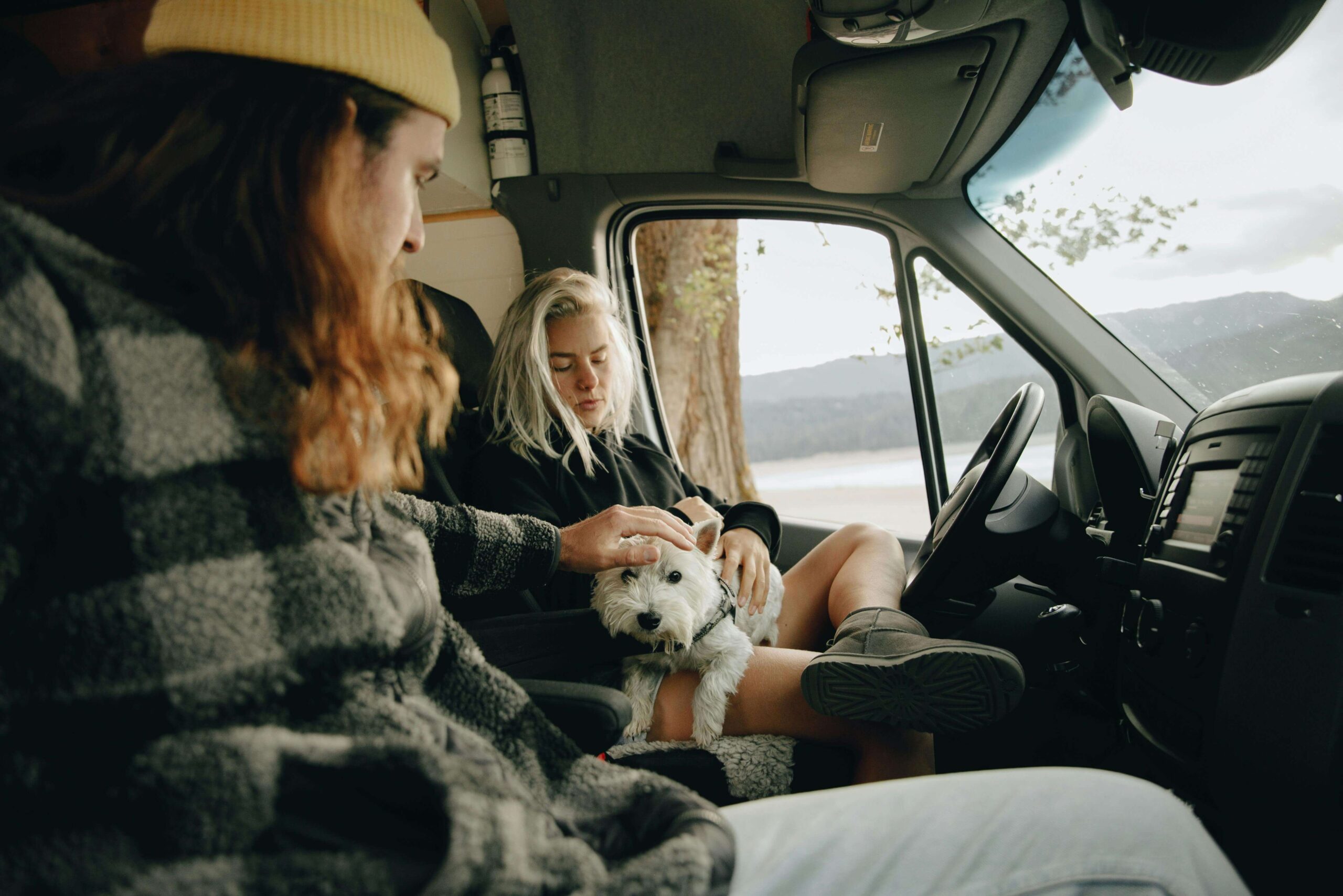 A couple stroke their dog in their camper van whilst on a road trip.