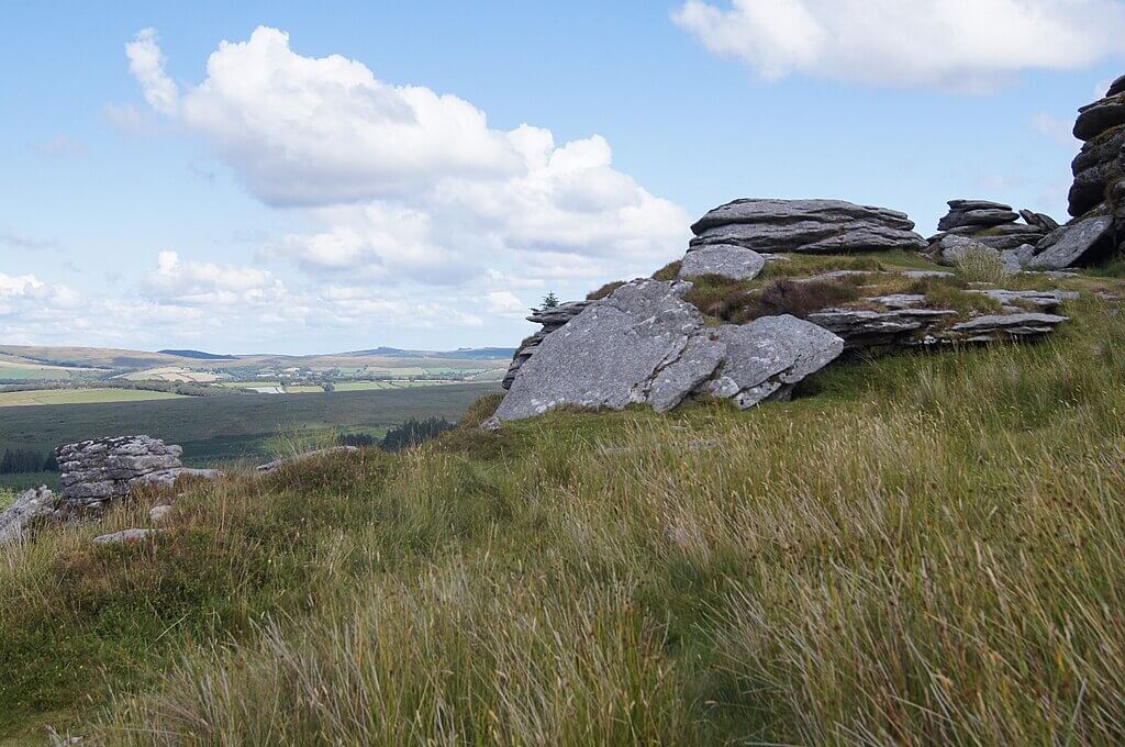 Bellever Forest and Bellever Tor Circular