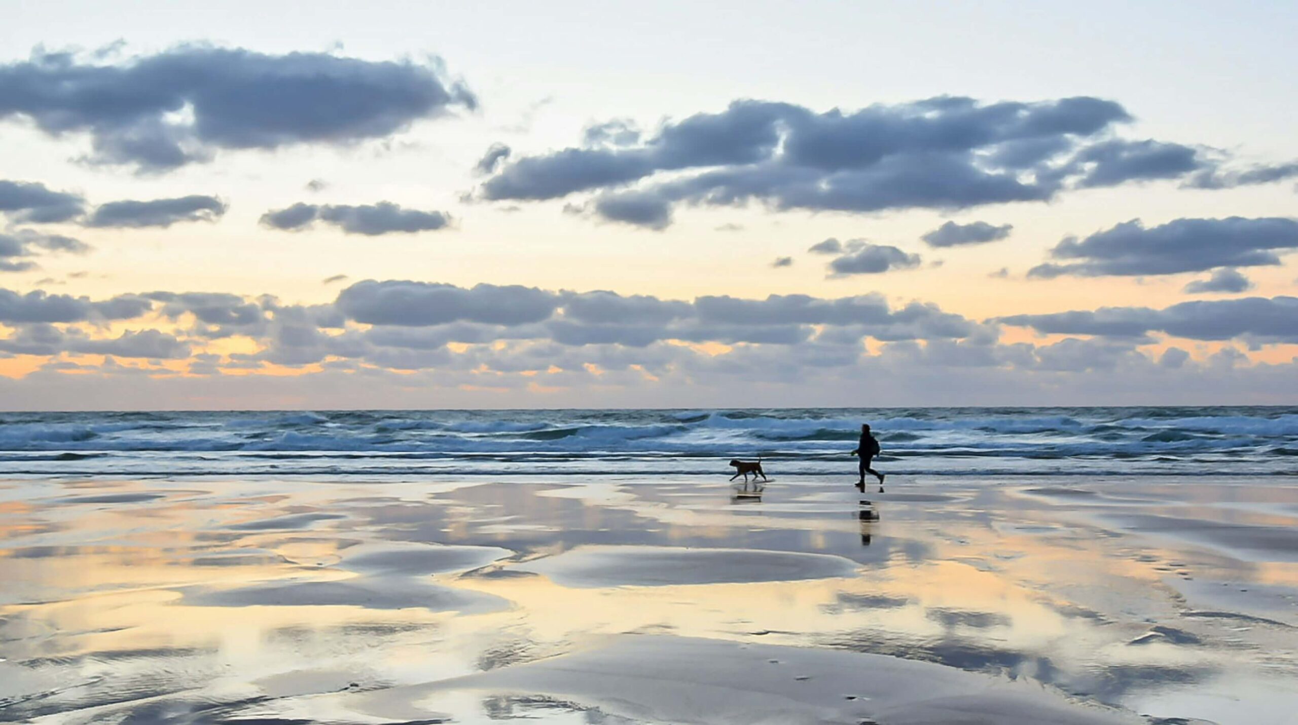 Man and his dog walk on a dog friendly beach in Cornwall