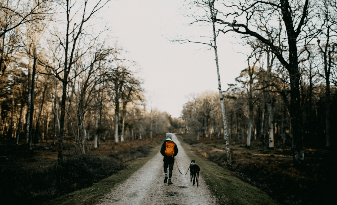 A man and his dog walking a dog friednly trail in the heart of New Forest National Park