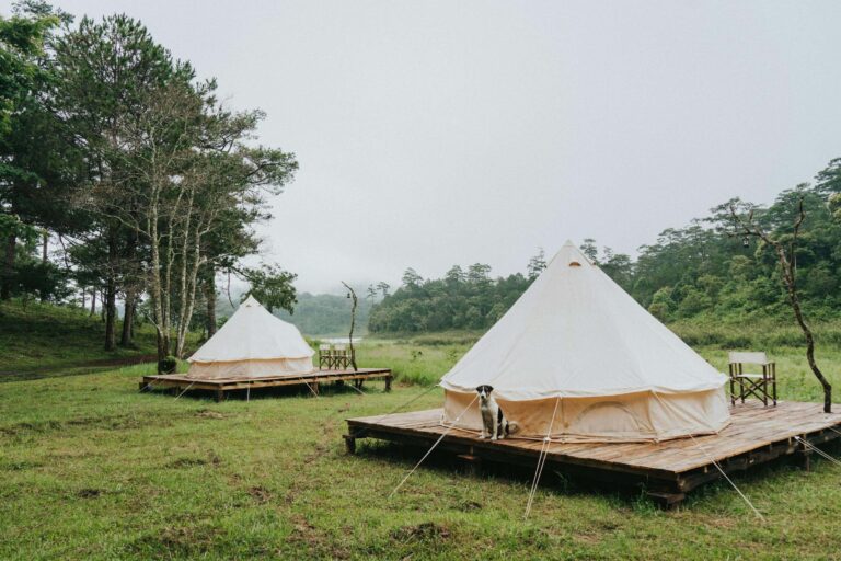 A dog sits in front of a tent on a Peak District based campsite