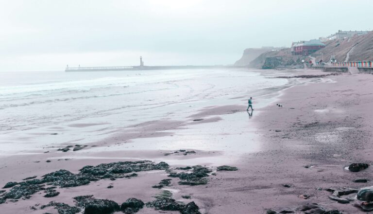 A man walks his dog on Whitby beach during the final stop of their Yorkshire Dales and North York Moors road trip