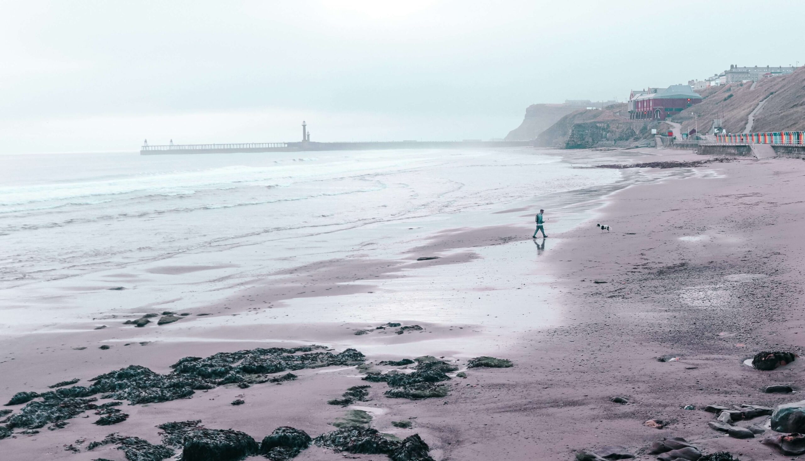 A man walks his dog on Whitby beach during the final stop of their Yorkshire Dales and North York Moors road trip