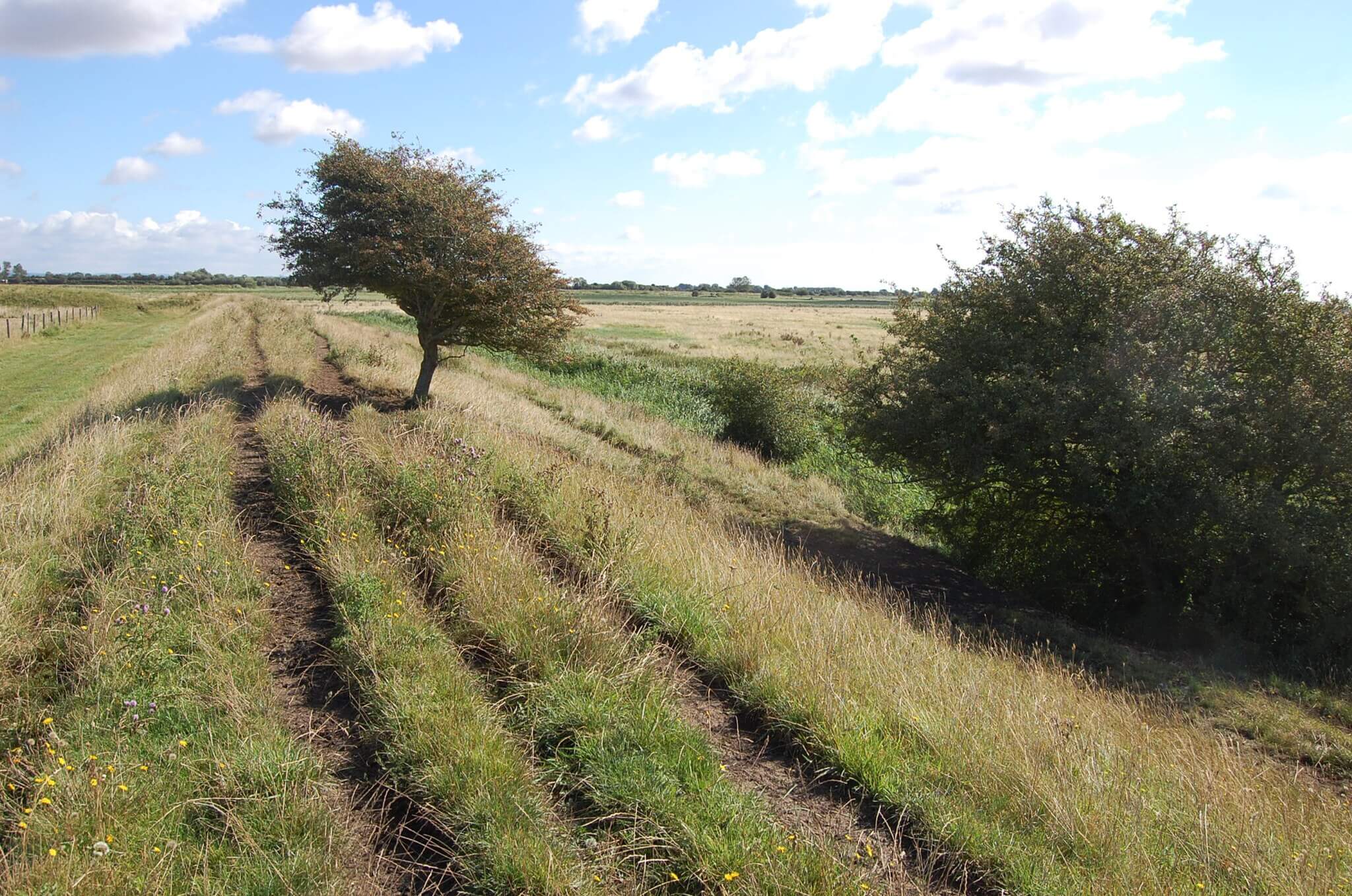 Romney Marsh Circular from Dungeness Railway Path