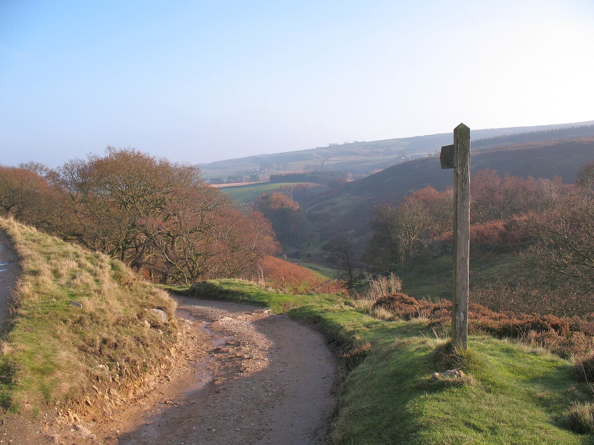Nidderdale Way Starter Loop (Pateley Bridge)