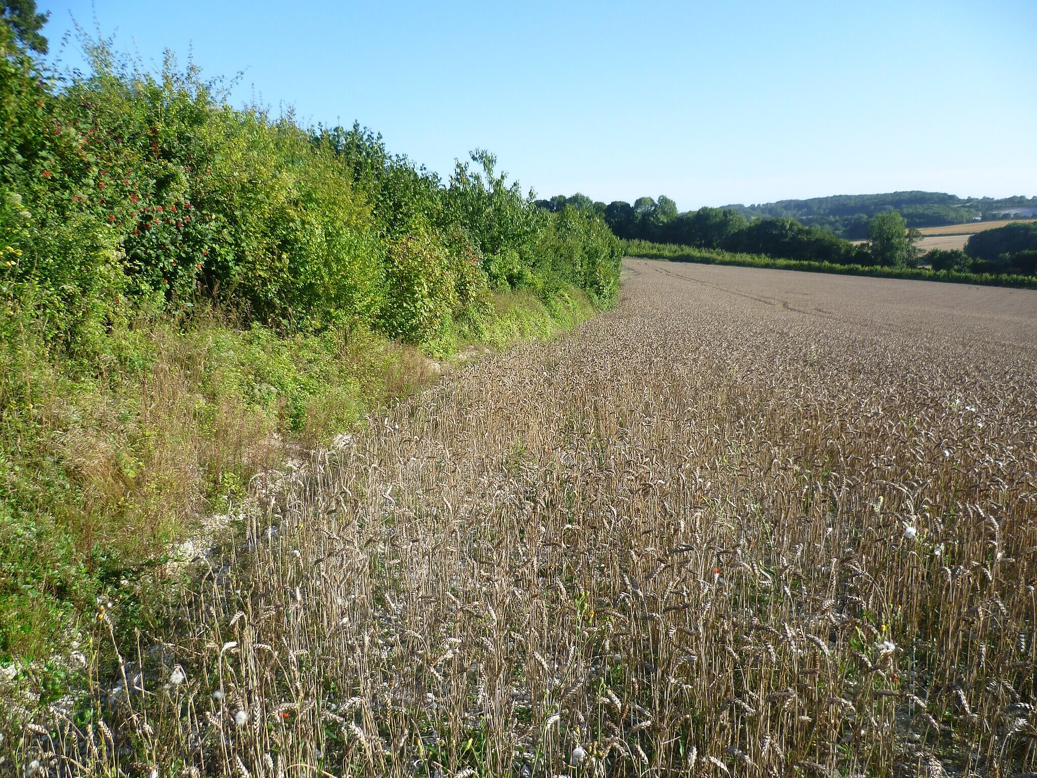 Tuckton to Stour Valley Paths