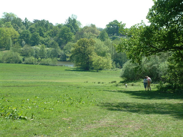 Weald Country Park Woodland Loop
