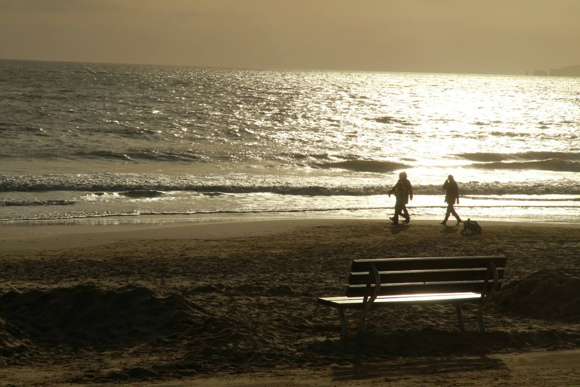 A couple walk their dogs on a dog friendly beach in Bournemouth around sunset