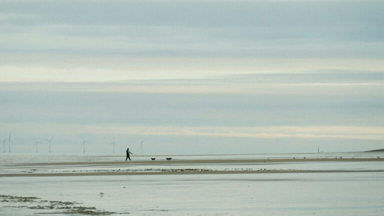 A man walks his two dogs on a dog friendly beach in Lincolnshire with windmills in the background.