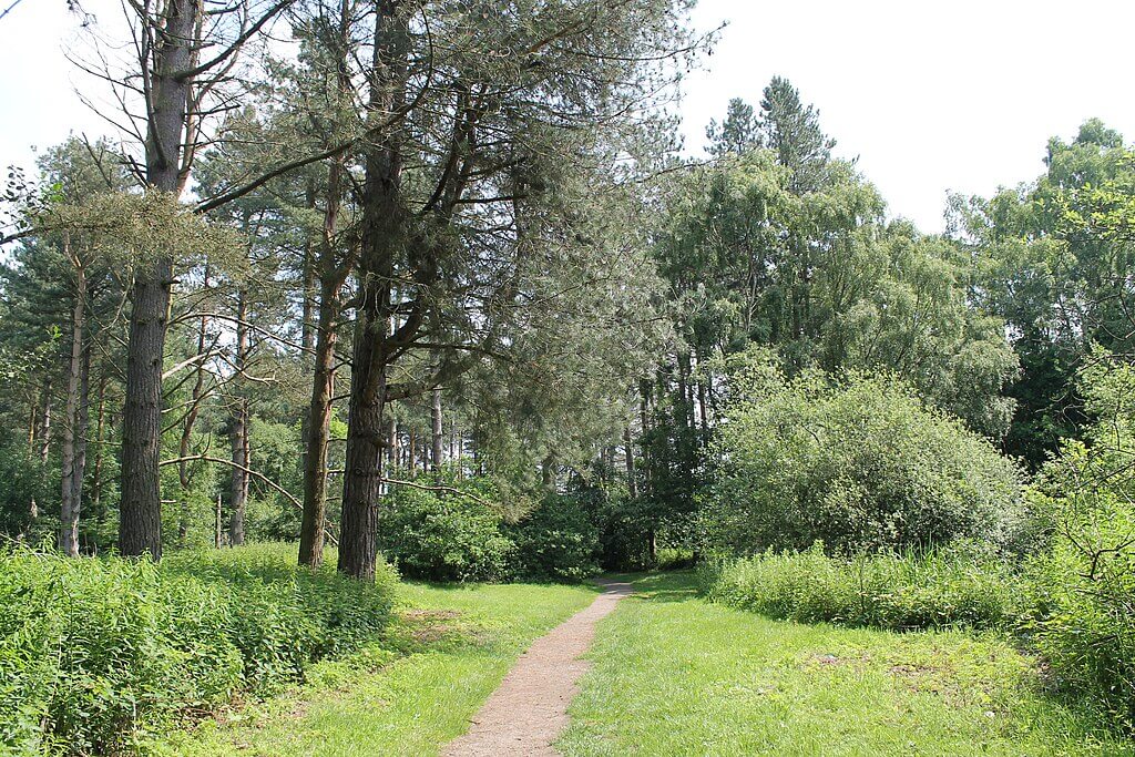 Willingham Woods Woodland Loop